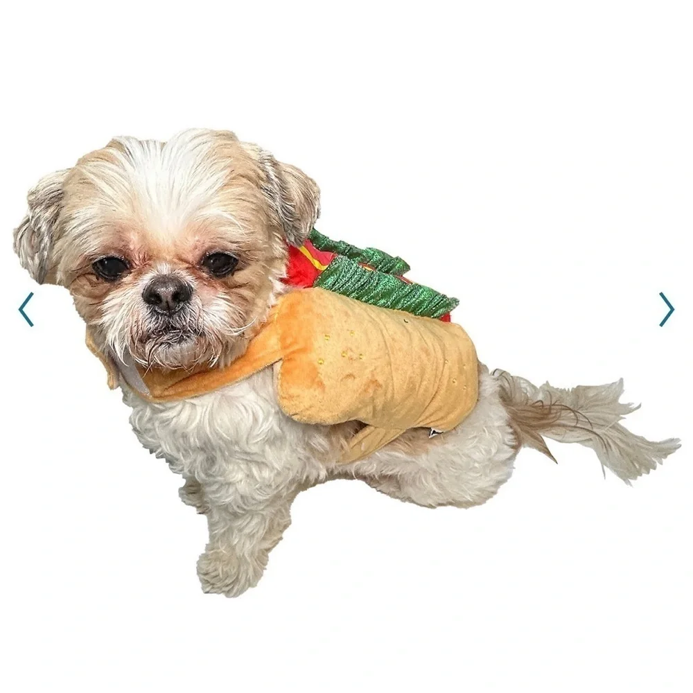 Halloween Hot Dog Pet Costume